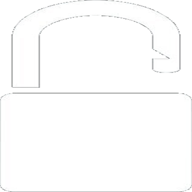 password-icon